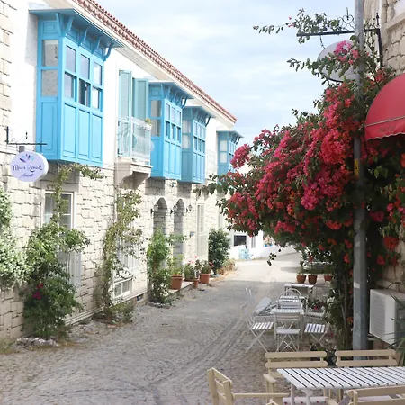 Mavi فندق