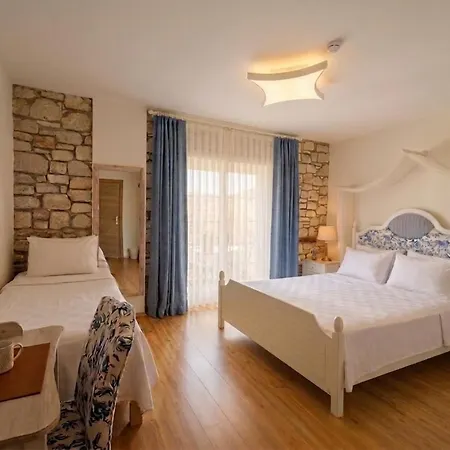 Hotel Mavi *